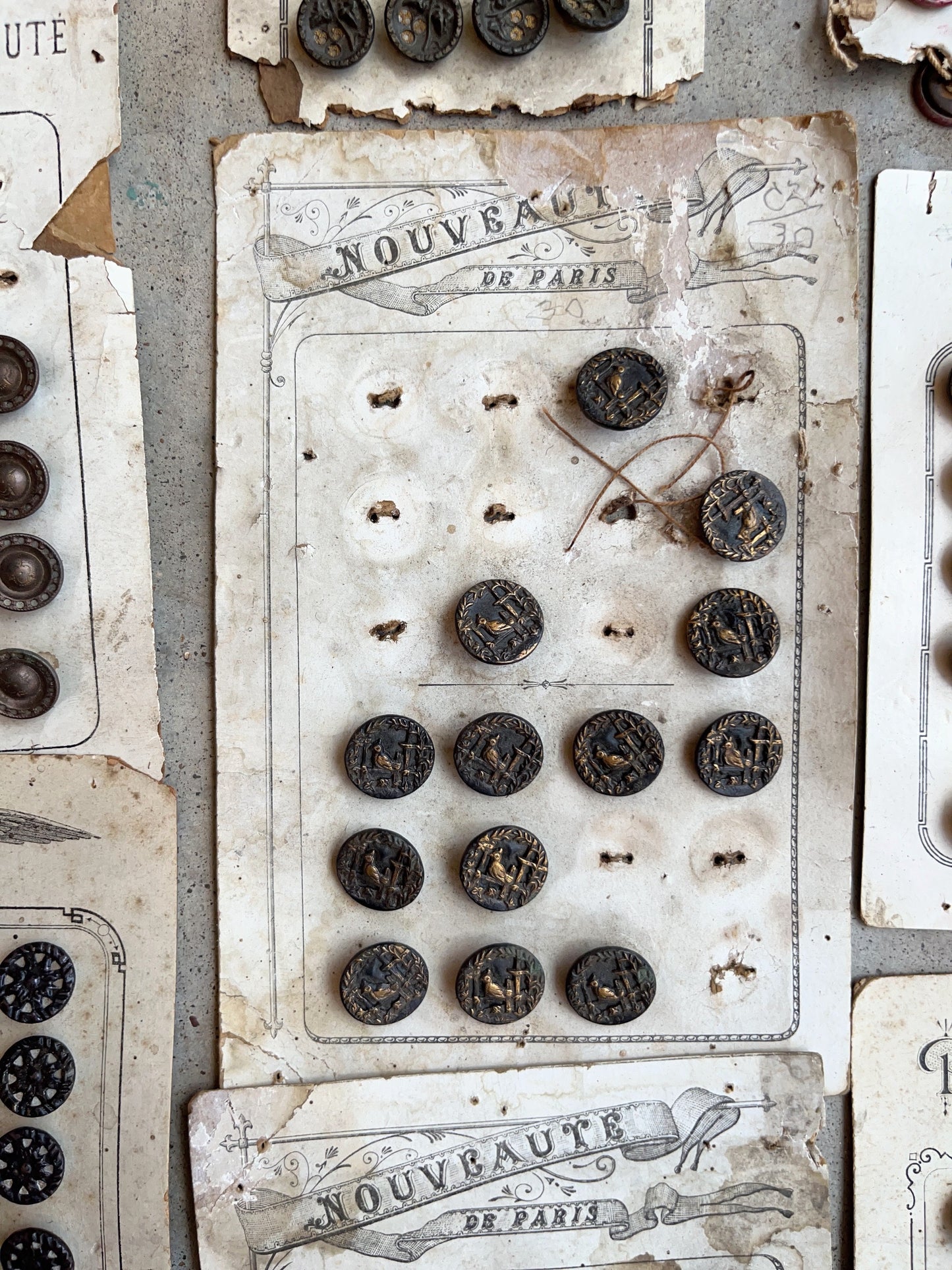 Large Lot of Antique Buttons + Notions 500+ Pcs