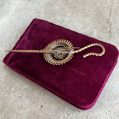 19th c. Large Shepherd's Crook + Fly Brooch