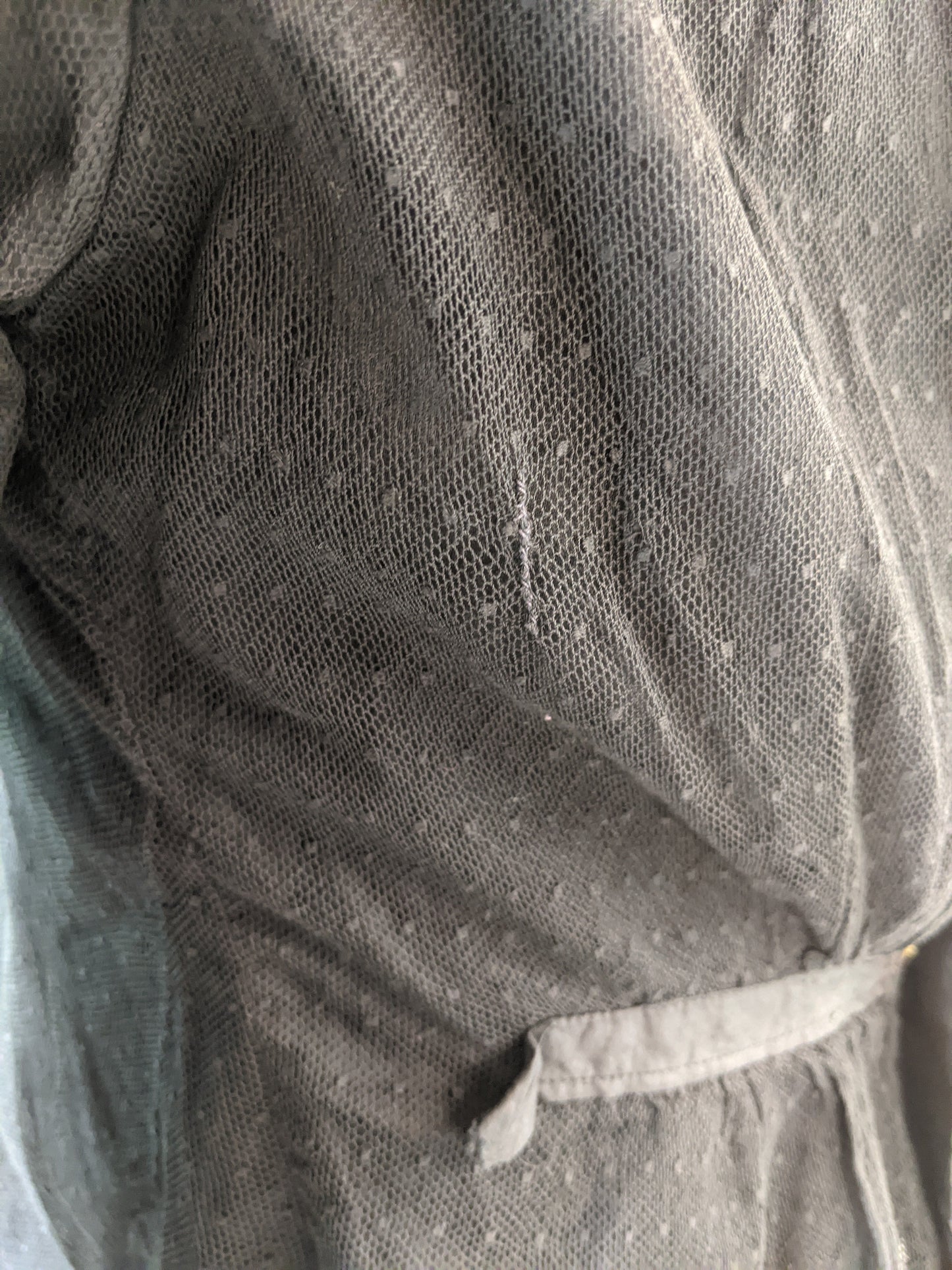 Edwardian Net Lace Shirtwaist