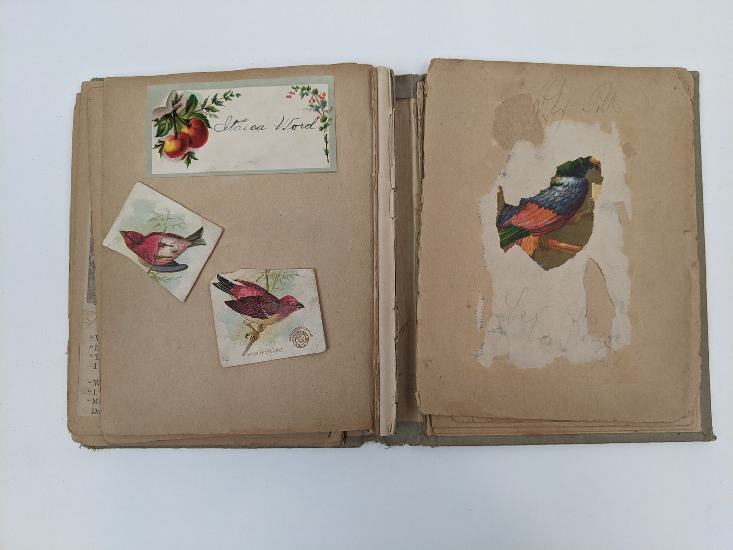 Victorian Scrapbook 1899 | 5.5" x 7"