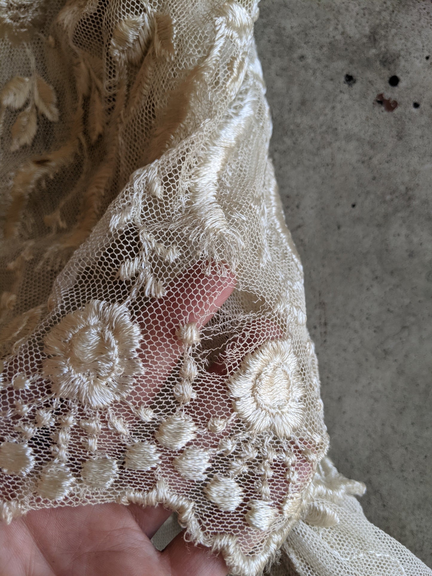 1900s Net Lace Dress