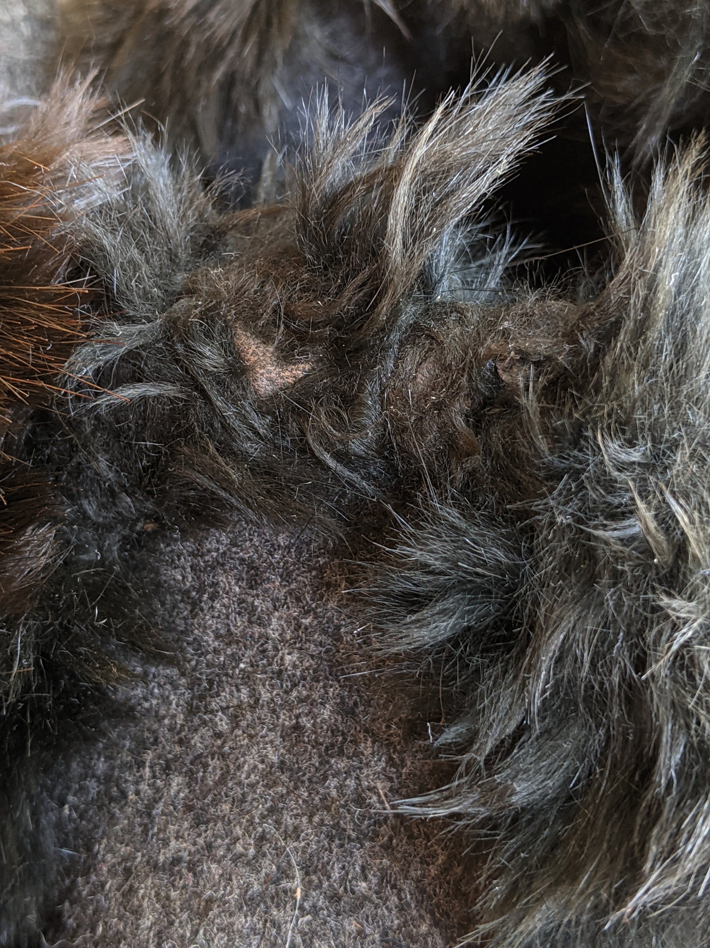 c. 1890s-1900s Felt + Fur Slippers